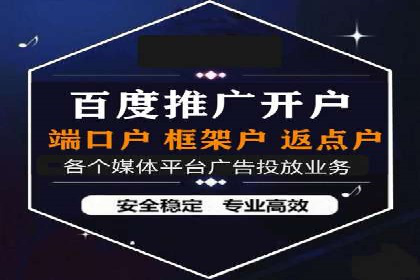 某电商平台的SEM推广策略全解析